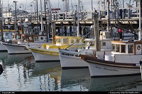 Photo by elki | San Francisco  fisherman wharf - san francisco california